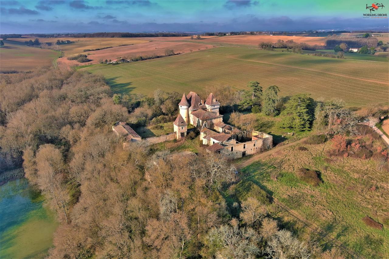 PAMP | Bogdanoff Legacy - Official Token